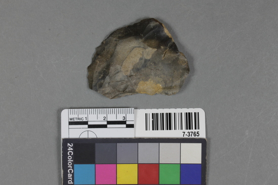 Hearst Museum object titled Scraper, accession number 7-3765, described as flint scraper with secondary retouch on one edge