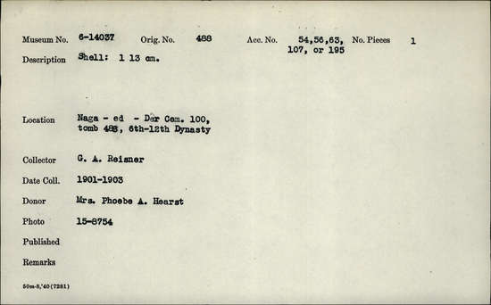 Documentation associated with Hearst Museum object titled Shell fragment, accession number 6-14037, described as Half of bivalve shell, length 13 cm.