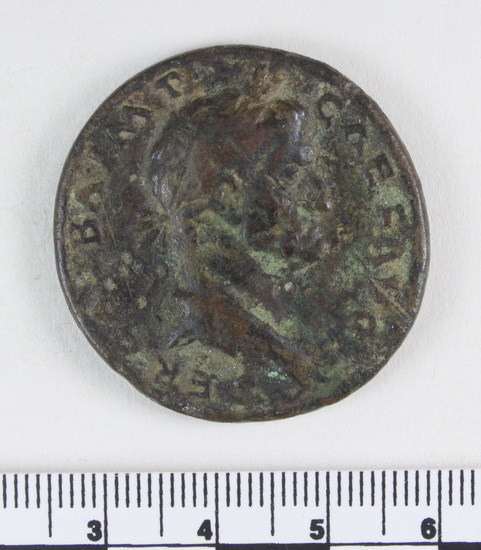 Hearst Museum object 8 of 8 titled Coin: æ sestertius, accession number 8-4001, described as Coin; AE; Sestertius; Roman. Galba, 68-69 AD. Obverse: SER GALBA IMP CAES AVG, Bust r. laureate and draped. Reverse: SPQR/OB/CIV SER in oak wreath