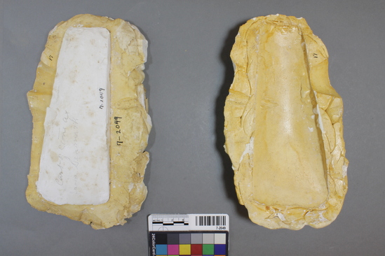 Hearst Museum object titled Cast of celt with mold, accession number 7-2049, described as Plaster cast: both negative and positive, stone celt