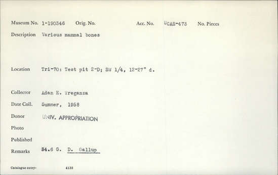 Documentation associated with Hearst Museum object titled Faunal remains, accession number 1-190346, described as Various mammal bones