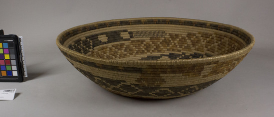 Hearst Museum object 2 of 3 titled Winnowing tray, accession number 1-70119, described as Coiled, deep tray.  Tag: "Mission Type" "Snake".   Per Ralph Shanks:  Broad low bowl in shape of winnower; made for sale.  Materials include a deergrass bundle foundation and orange, tan, and black dyed juncus wefts.  The primary design is a coiled rattlesnake.  The workface is on the inside.  The wefts are bound under and the work direction is to the right.  The basket has a plain wrapped rim with a half inch long herringbone finish.