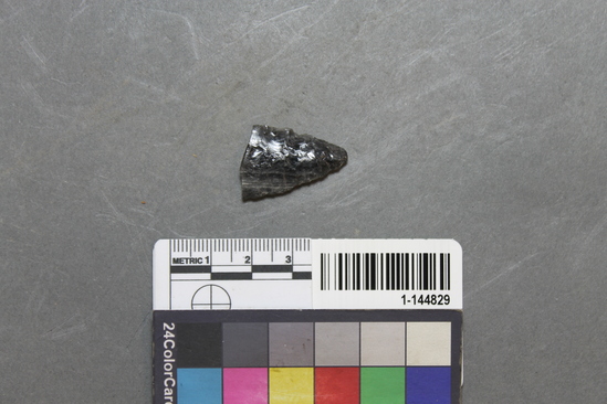 Hearst Museum object titled Point fragment, accession number 1-144829, described as Obsidian