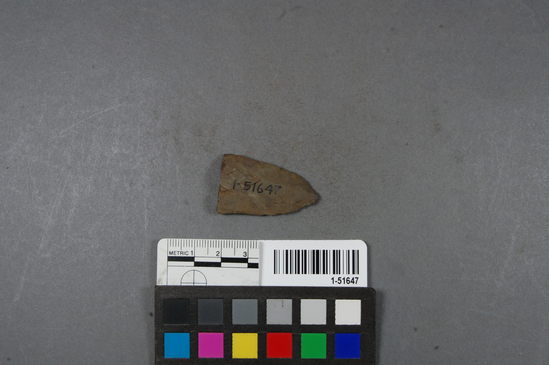 Hearst Museum object titled Projectile point, accession number 1-51647, described as Arrow point fragment, Franciscan Chert.