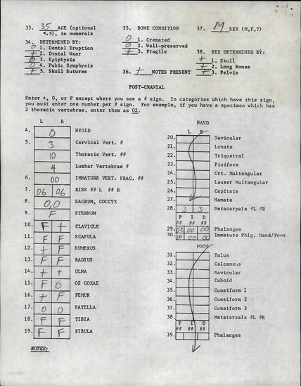 Documentation associated with Hearst Museum object titled Human remains, accession number 12-8742(0), described as Remains of one middle adult (35 year old) male.