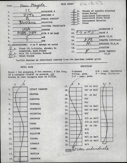 Documentation associated with Hearst Museum object titled Human remains, accession number 12-8746B, described as The remains of one child (5 year old), sex unknown.