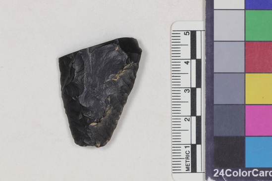 Hearst Museum object titled Projectile point fragment, accession number 16-14339, described as Projectile point fragment; obsidian; triangular; weight: 9.25 grams; length: 3.95 cm; width: 2.97 cm; depth: 0.79 cm; straight, convex sides; broken base.