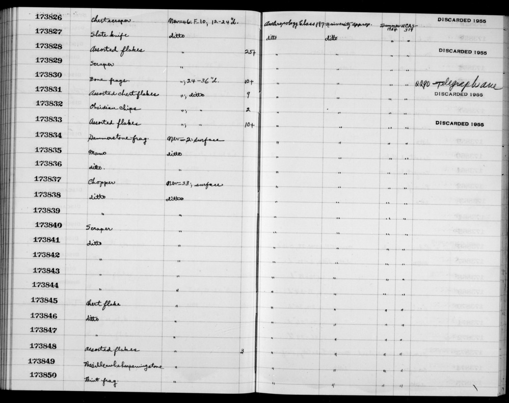 Documentation associated with Hearst Museum object titled Assorted flakes, accession number 1-173833, described as Assorted flakes.