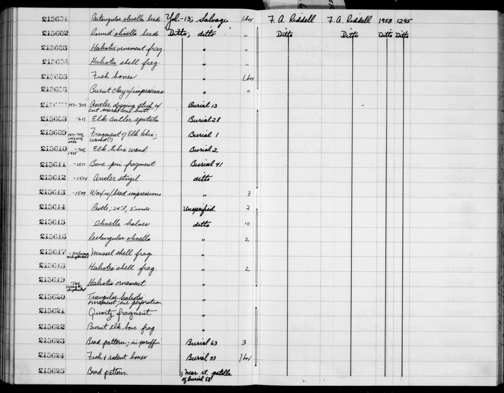 Documentation associated with Hearst Museum object titled Bead pattern, accession number 1-213623, described as In paraffin.