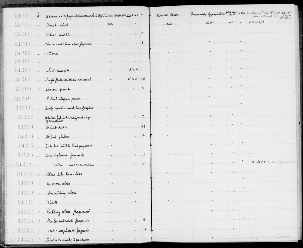 Documentation associated with Hearst Museum object titled Fishhooks, accession number 1-31212, described as Abalone fishhooks, in different stages of completion.