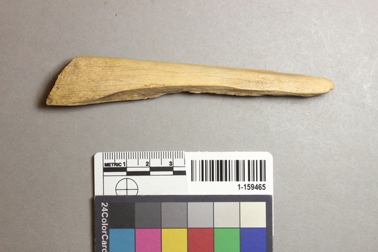 Hearst Museum object titled Worked bone, accession number 1-159465, described as Worked