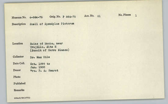 Documentation associated with Hearst Museum object titled Shell, accession number 4-867, described as Shell of Spondylus pictorum.