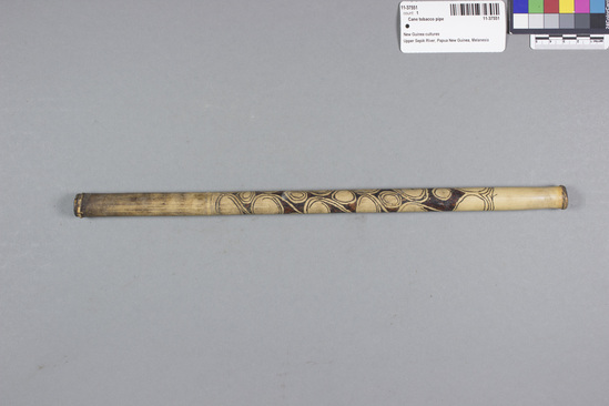 Hearst Museum object titled Cane tobacco pipe, accession number 11-37551, described as Tobacco pipe, cane, with incised designs filled with black pigment, 34.9 cm long. Used for smoking.