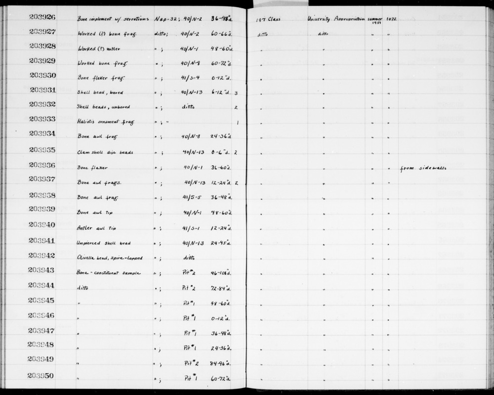 Documentation associated with Hearst Museum object titled Awl fragment, accession number 1-203939, described as Bone, tip.