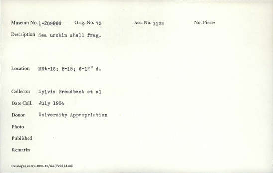 Documentation associated with Hearst Museum object titled Shell fragment, accession number 1-209966, described as Sea urchin shell fragment.