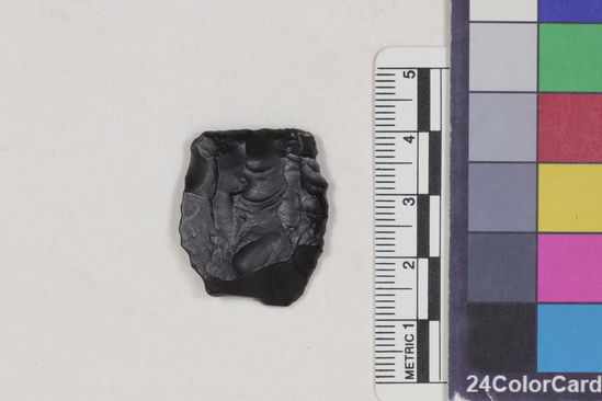 Hearst Museum object 2 of 2 titled Projectile point fragment, accession number 16-14336, described as Projectile point fragment; obsidian; triangular; weight: 4.35 grams; length: 2.85 cm; width: 2.36 cm; depth: 0.61 cm; convex sides; broken base.