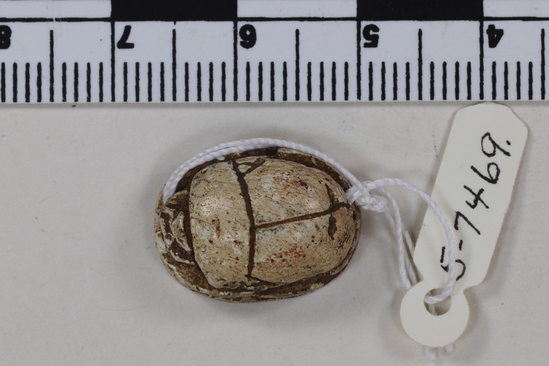 Hearst Museum object titled Scarab seal, accession number 5-7469, described as Seal. Scarab. Stone with light tan glaze. All scarab parts indicated. Reverse-lion hunt scene. Length 1.68 cm. Width 1.78 cm. Height 8.0 mm.