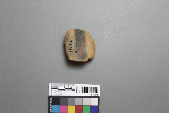 Hearst Museum object titled Potsherd, accession number 2-16872, described as Sherd; strap handle, grit-tempered