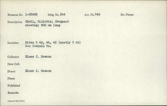Documentation associated with Hearst Museum object titled Shell fragment, accession number 1-55685, described as Shell, Haliotis; fragment missing; 200 mm long