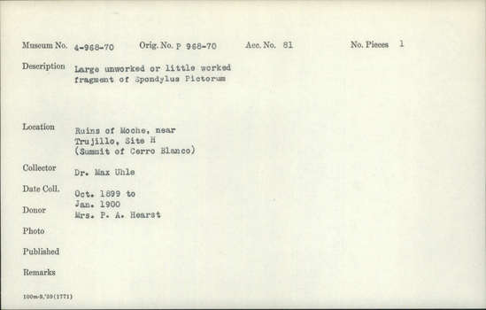 Documentation associated with Hearst Museum object titled Shell fragment, accession number 4-968, described as Large unworked or little worked fragment of Spondylus pictorum.