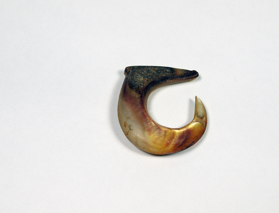 Hearst Museum object 3 of 3 titled Fishhook, accession number 11-220, described as Shell fish-hook.