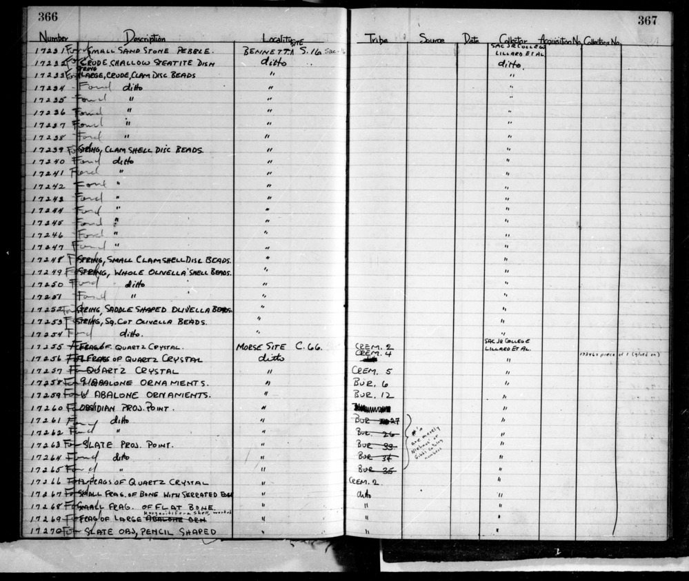 Documentation associated with Hearst Museum object titled Beads, accession number L-17251, described as String, whole olivella shell beads.