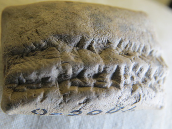 Hearst Museum object 33 of 93 titled Cuneiform tablet, accession number 9-2946, described as Mesopotamian cuneiform tablet