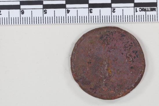 Hearst Museum object 8 of 8 titled Coin: æ sestertius, accession number 8-6040, described as Coin: Sestertius; Æ; Vespasian - 22.33 grams. Obverse: VESPASIAN AVG PM TRP ... head laureate facing right. Reverse: SC in field, figure walking right.