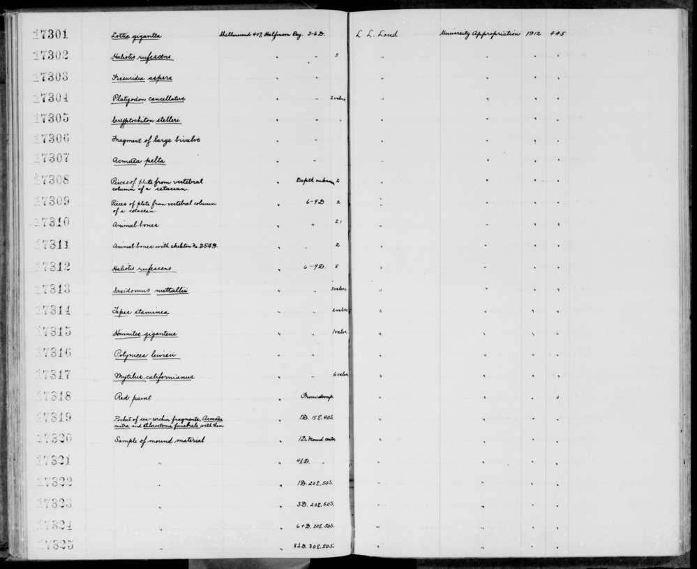 Documentation associated with Hearst Museum object titled Shell, accession number 1-17301, described as Lottia gigantea.