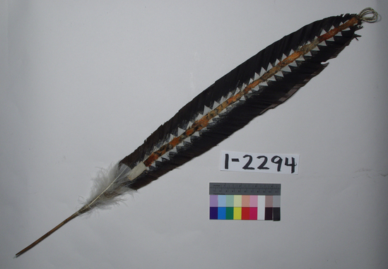 Hearst Museum object titled Head dart, accession number 1-2294, described as Ornamented feathers worn on head.