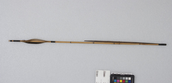 Hearst Museum object titled Arrow and arrowhead, accession number 10-1059a,b, described as a) Bamboo arrow; trimmed feathers; bamboo shaft; length: 23¾ inches. b) Hardwood point; length: 15½ inches. 10-1055-1062 secured from one native.