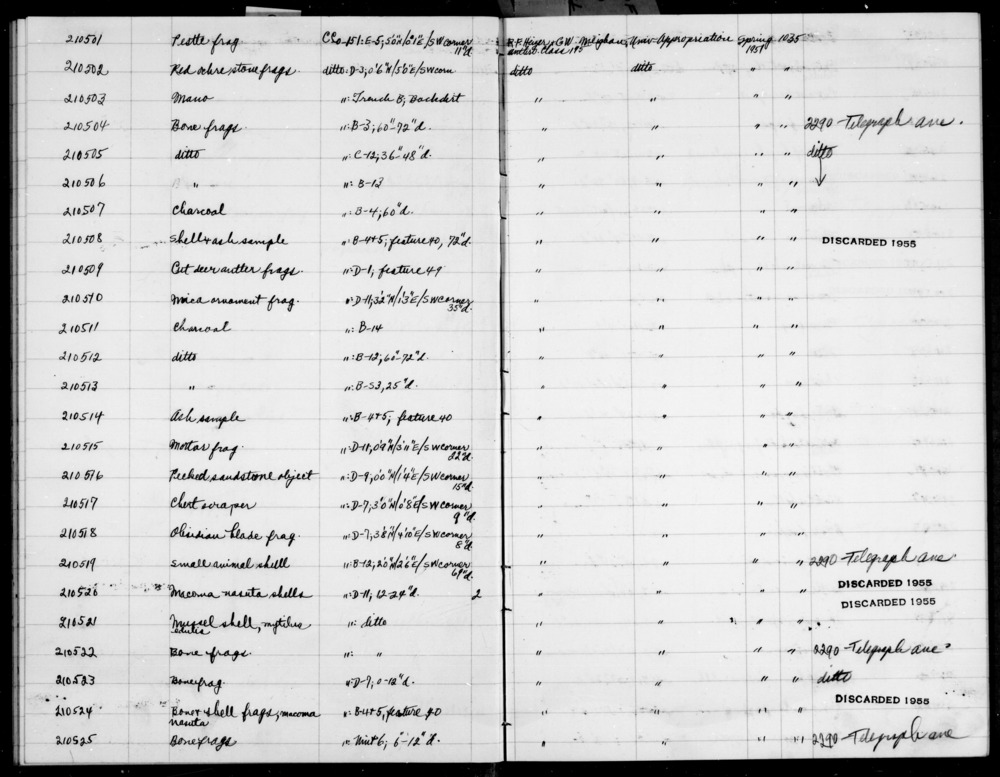 Documentation associated with Hearst Museum object titled Shell, accession number 1-210521, described as Mussel. "Mytilus edulis" added in pencil.