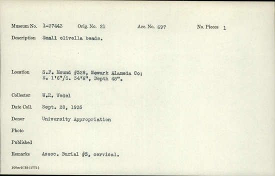 Documentation associated with Hearst Museum object titled Beads, accession number 1-37443, described as Olivella, small. Middle culture period Alameda district, coastal and bay