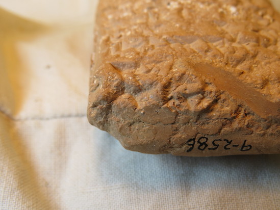 Hearst Museum object 69 of 132 titled Cuneiform tablet, accession number 9-2586, described as Neo-Babylonian Document from Erech