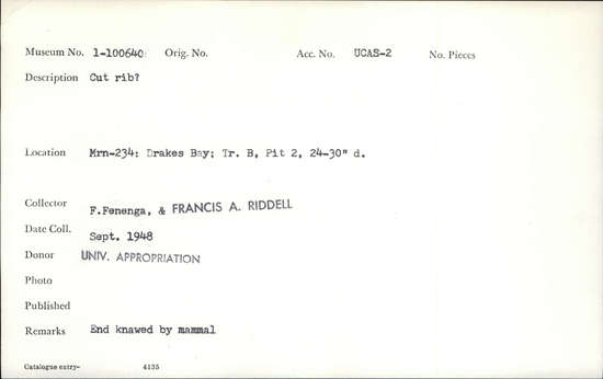 Documentation associated with Hearst Museum object titled Wedge fragment, accession number 1-100640, described as Cut rib ?  End gnawed by mammal.