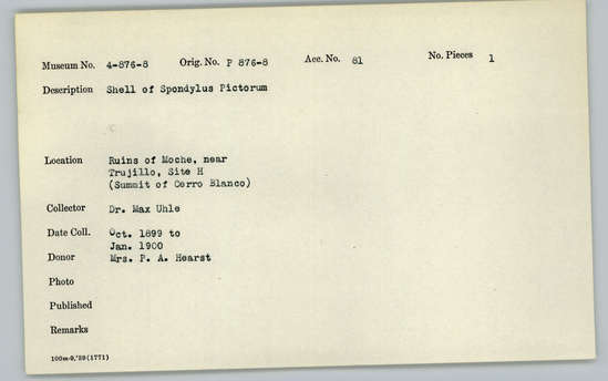 Documentation associated with Hearst Museum object titled Shell, accession number 4-876, described as Shell of Spondylus pictorum.