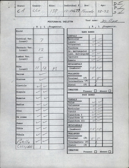 Documentation associated with Hearst Museum object titled Human remains, accession number 12-10677(0), no description available.