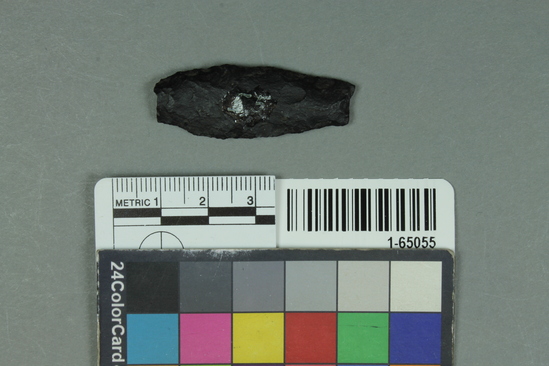 Hearst Museum object titled Point, accession number 1-65055, described as Type NAb-3-1; quartzite