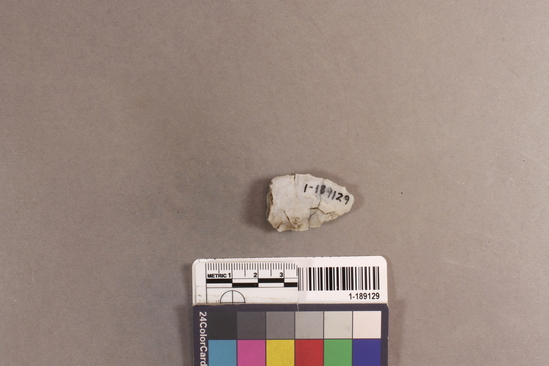 Hearst Museum object titled Projectile point blank, accession number 1-189129, described as chert projectile point blank; l. 3.4cm