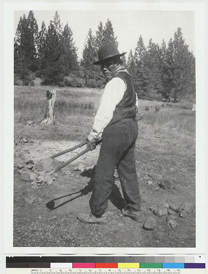 Hearst Museum object titled Black-and-white negative, accession number 15-2742, described as Old Pedro handling hot rocks with wooden tongs