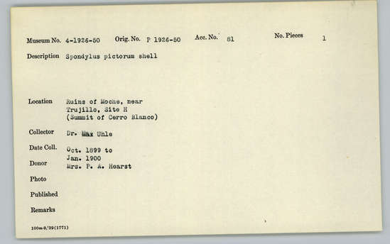 Documentation associated with Hearst Museum object titled Shell, accession number 4-1946, described as Spondylus pictorum shell.