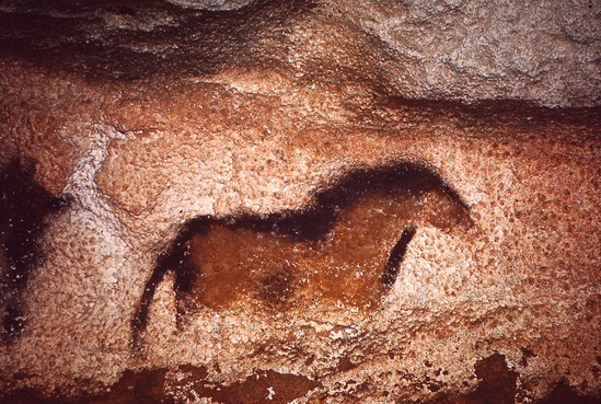 Hearst Museum object titled Color slide, accession number 25-2682, described as Cave painting: First Pony of the Frieze.  Lascaux: The Axial Corridor.