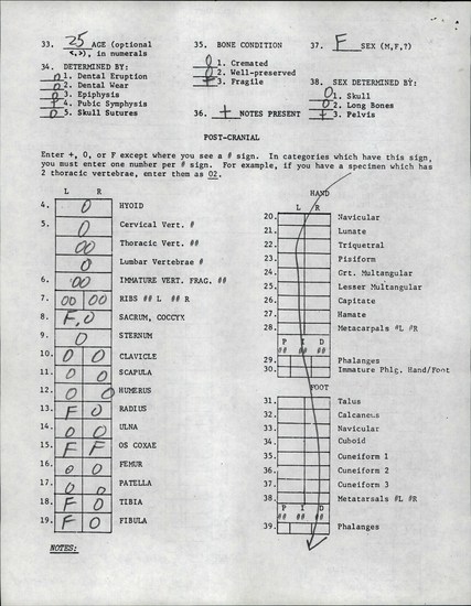 Documentation associated with Hearst Museum object titled Human remains, accession number 12-8743A, described as The remains of an adult female.