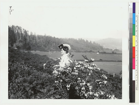 Hearst Museum object titled Black-and-white negative, accession number 15-3320, described as Mary Plaisted.