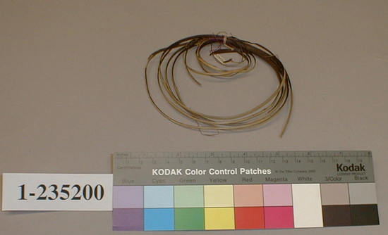 Hearst Museum object titled Basket material, accession number 1-235200, described as Redbud cortex, brown.  Cercis occidentalis.