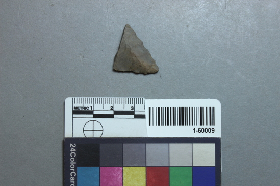 Hearst Museum object titled Projectile point fragment, accession number 1-60009, described as Arrowpoint fragment