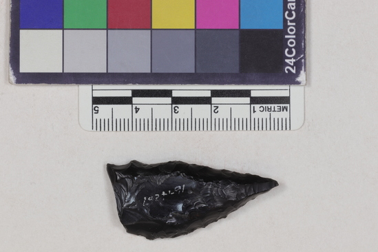 Hearst Museum object 2 of 2 titled Projectile point fragment, accession number 16-14267, described as Projectile point; obsidian; triangular; weight: 6.79 grams; length: 4.06 cm; width: 2.05 cm; depth: 0.75 cm; convex sides; broken.