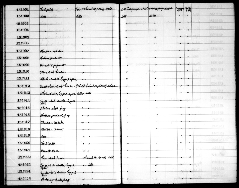 Documentation associated with Hearst Museum object titled Shell fragment, accession number 1-151915, described as Abalone. Notice: Image restricted due to its potentially sensitive nature. Contact Museum to request access.