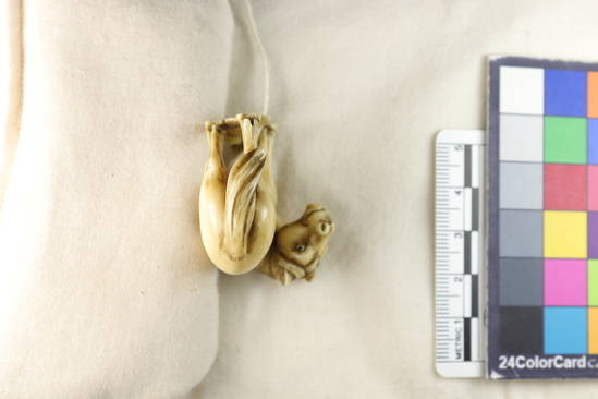 Hearst Museum object 7 of 12 titled Netsuke, accession number 9-18830, described as Netsuke; horse, standing, facing to its left; exxagerated [sic, exaggerated] facial features and generalized body; four feet connected by patch representing ground; H 3.7 cm X L 4.2 cm