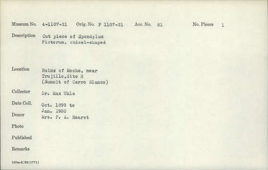 Documentation associated with Hearst Museum object titled Worked shell, accession number 4-1107, described as Cut piece of Spondylus pictorum, chisel-shaped.